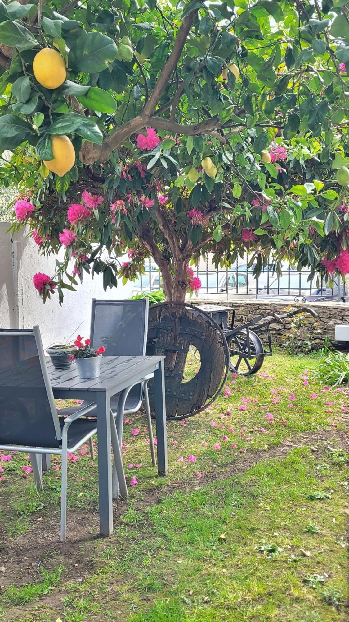 Besbello Suites Apartamento Santiago de Compostela Exteriér fotografie
