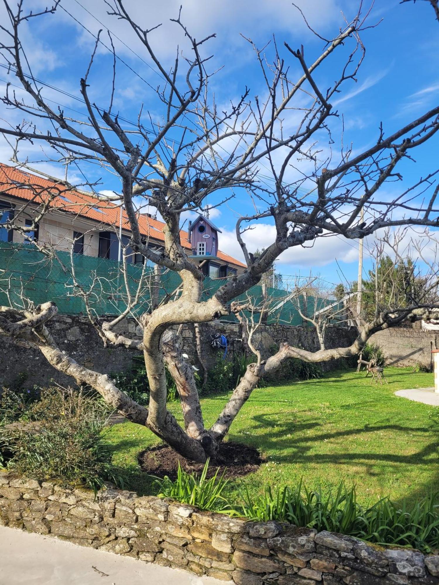 Besbello Suites Apartamento Santiago de Compostela Exteriér fotografie
